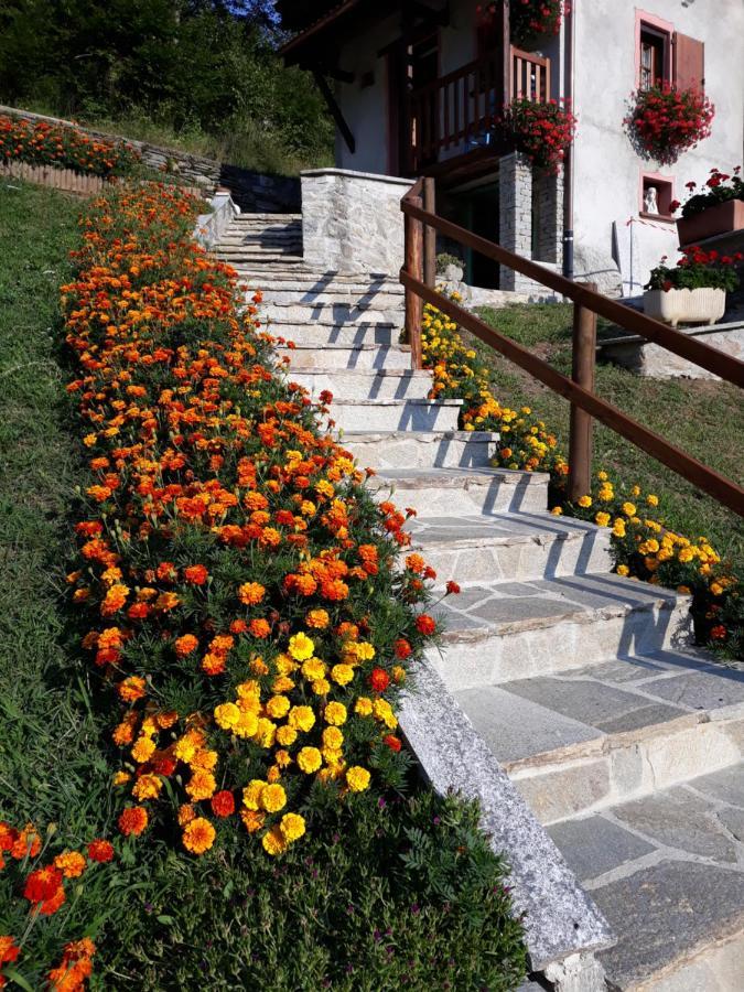 Casa All'Alpe Gaggetto B & B Anzino Exterior photo