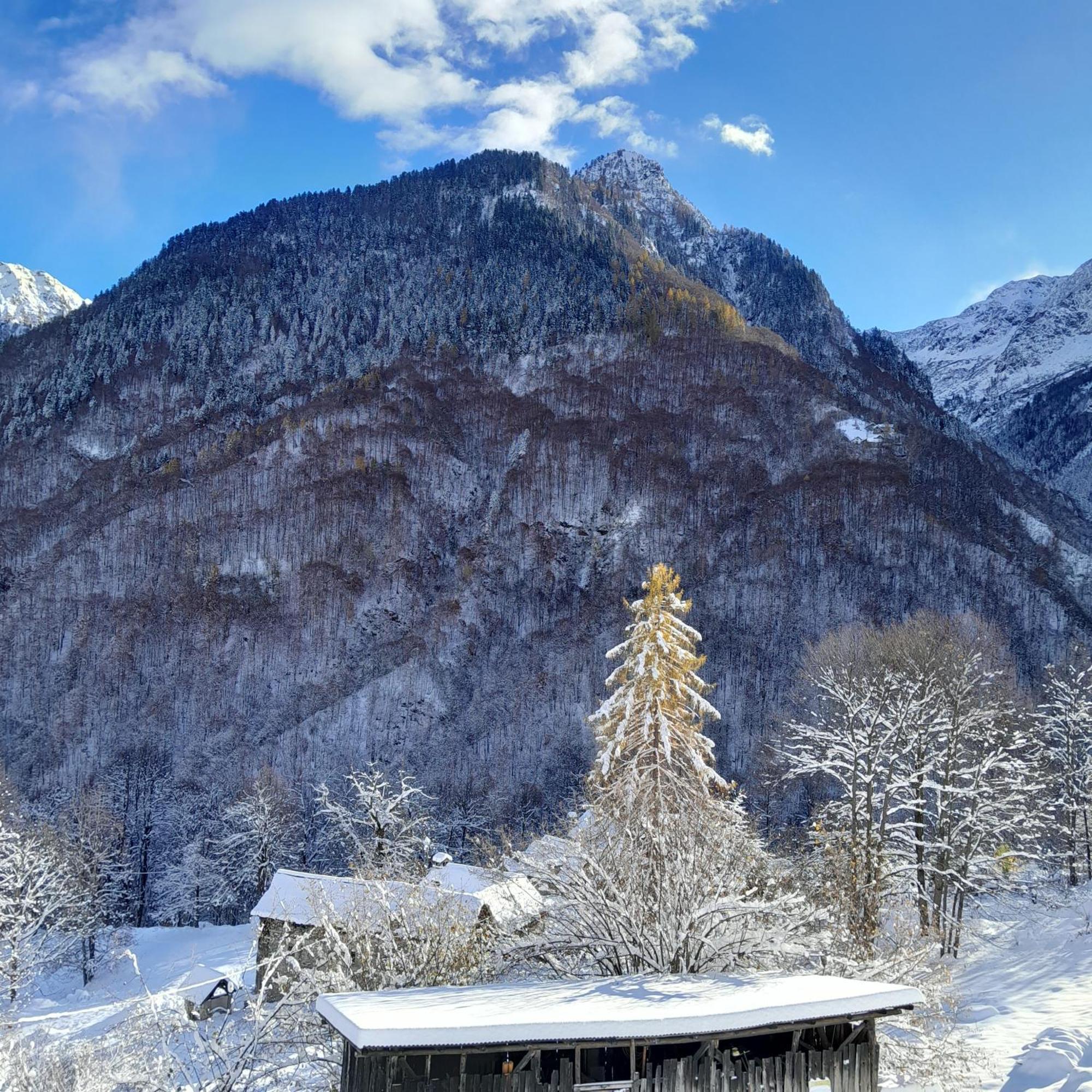 Casa All'Alpe Gaggetto B & B Anzino Exterior photo